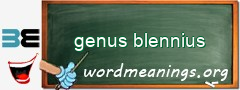 WordMeaning blackboard for genus blennius